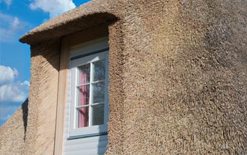 Harriseahead thatch roof disadvantages